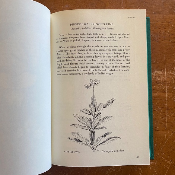 Houghton Mifflin Teal Cloth How to Know the Wild Flowers 1989 Hardcover OS - Picture 11 of 14